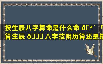 按生辰八字算命是什么命 🪴 「算生辰 🐎 八字按阴历算还是按阳历算」